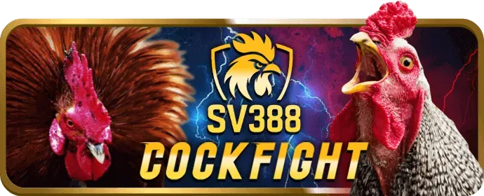 Ưu đãi độc quyền và khuyến mãi VIP 68vin nhà cái